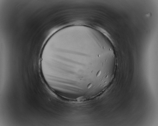 X0000086001428200704131755