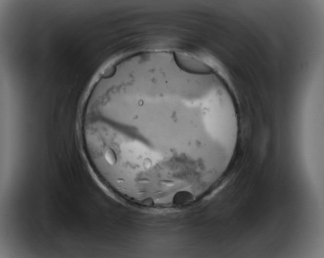 X0000086001429200704131755