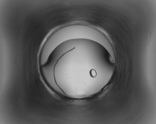 X0000086001430200704131755