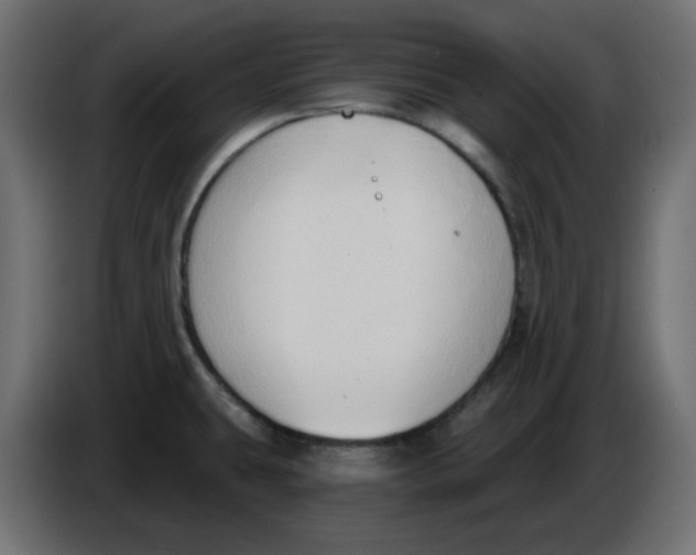 X0000086001431200704131755