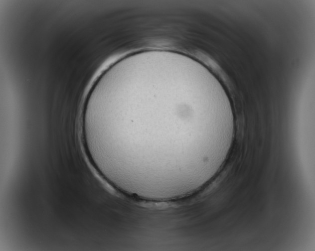 X0000086001432200704131756