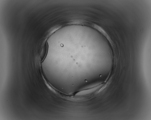 X0000086001433200704131756