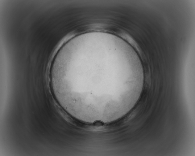 X0000086001435200704131756