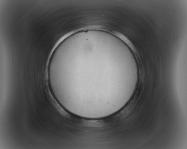 X0000086001436200704131756