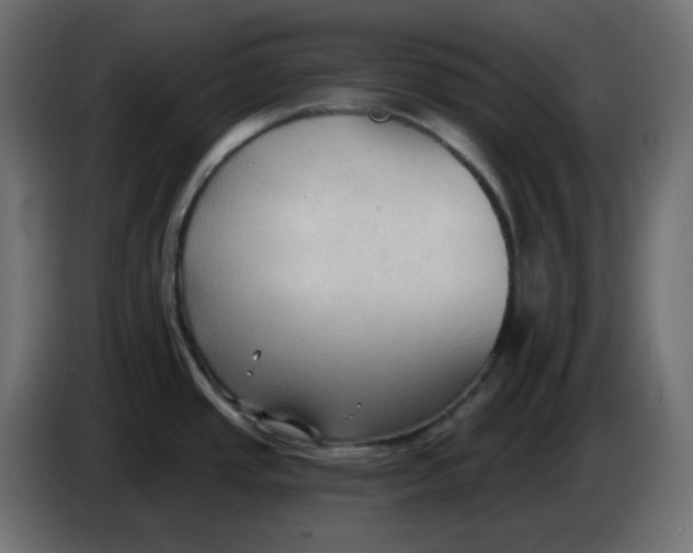 X0000086001437200704131756