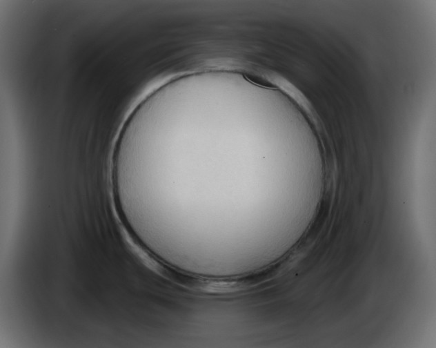 X0000086001439200704131756