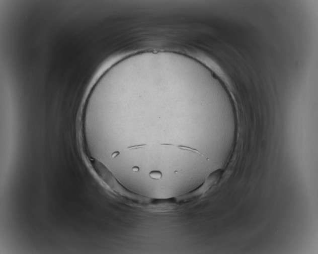 X0000086001440200704131756