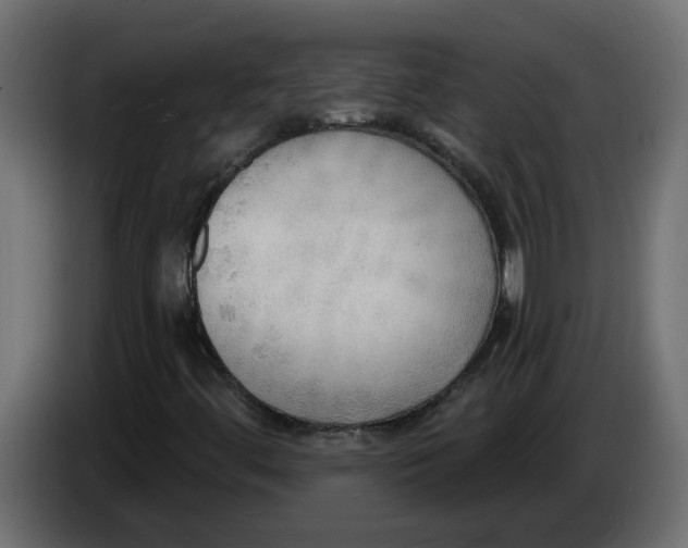 X0000086001444200704131755