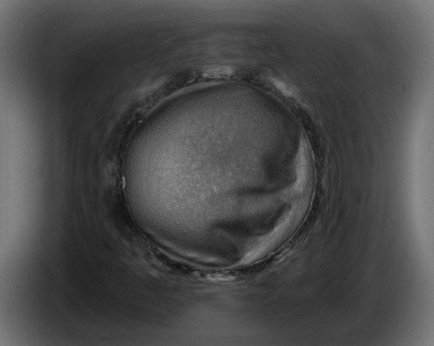 X0000086001445200704131755