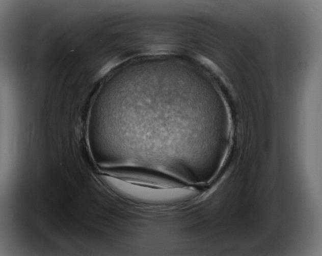 X0000086001449200704131755