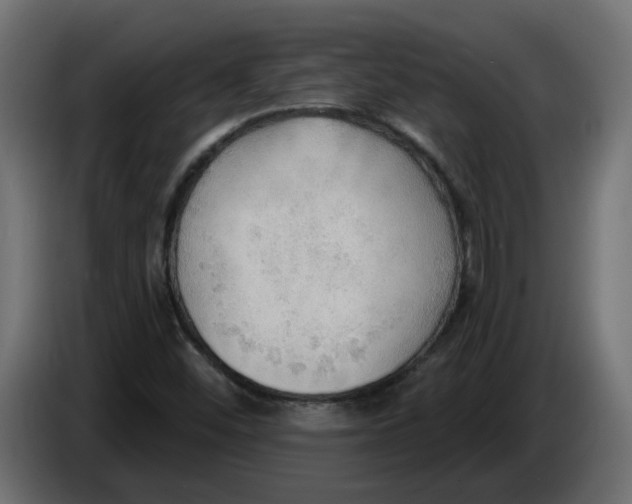 X0000086001452200704131755