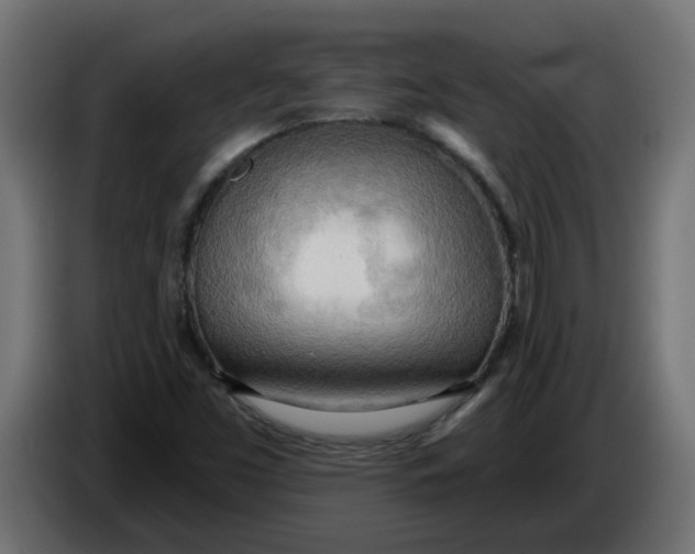 X0000086001453200704131755