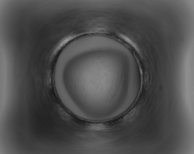 X0000086001455200704131755