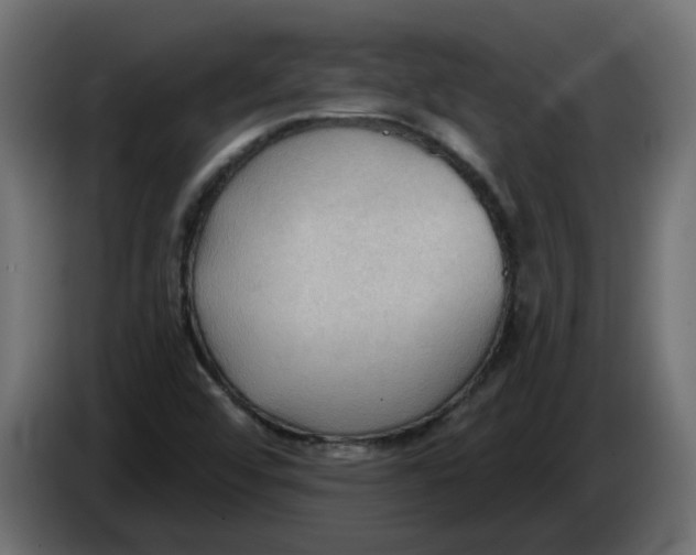 X0000086001456200704131755