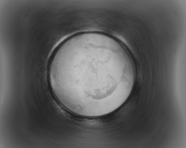 X0000086001460200704131755