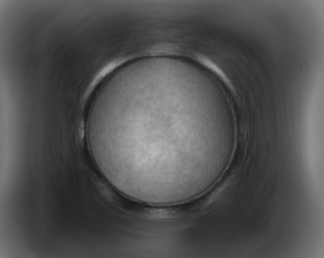 X0000086001461200704131755