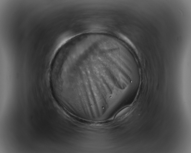 X0000086001463200704131755