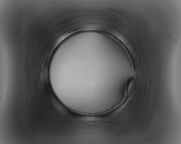 X0000086001465200704131755