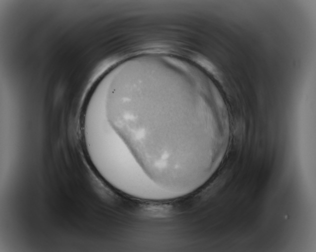 X0000086001466200704131755