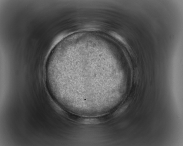 X0000086001467200704131755