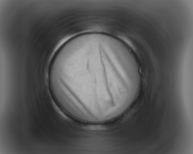 X0000086001468200704131755