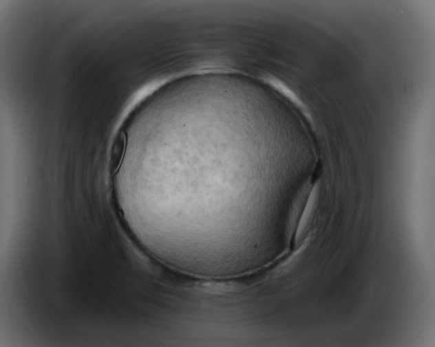 X0000086001469200704131755