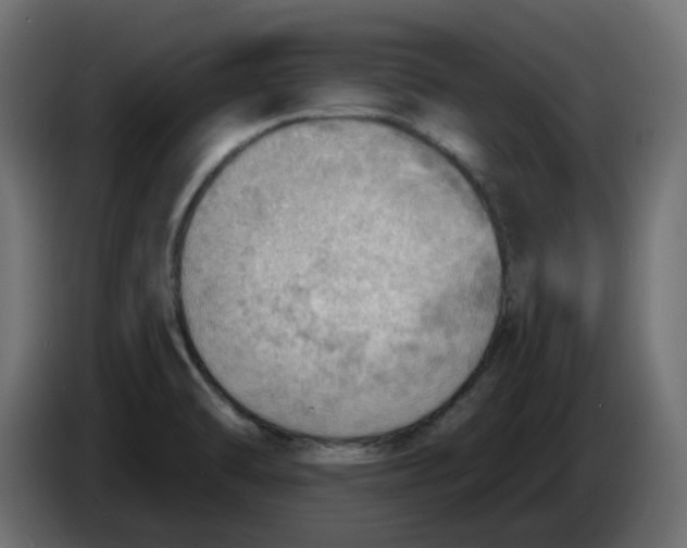 X0000086001470200704131755