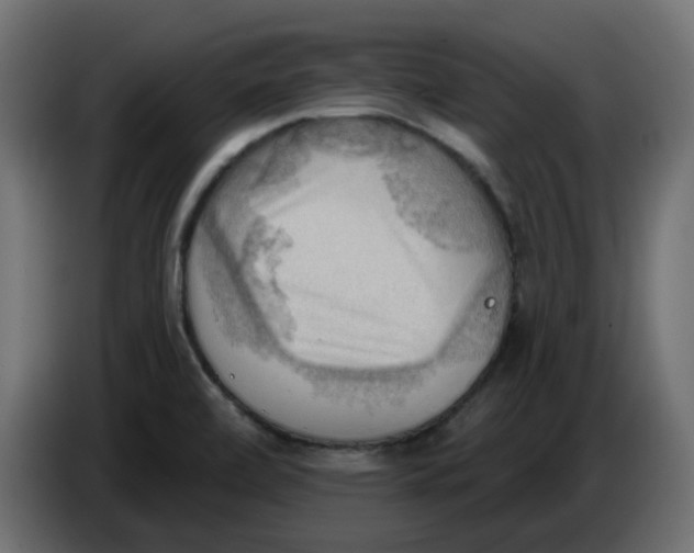 X0000086001472200704131755