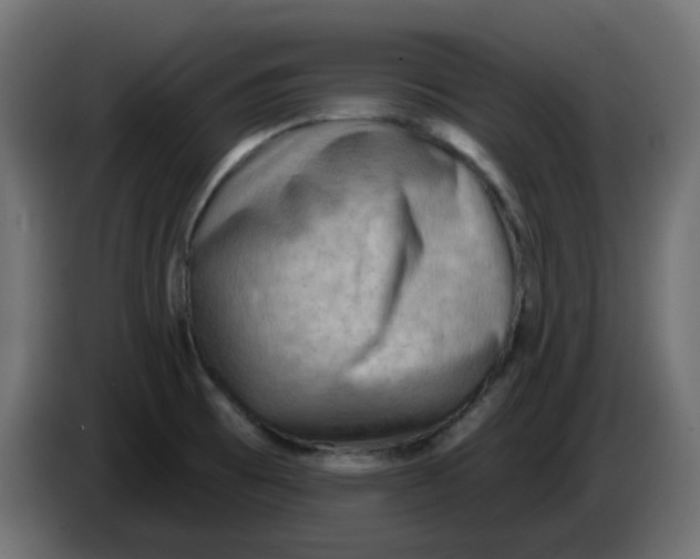 X0000086001473200704131754