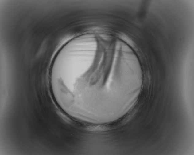 X0000086001474200704131754