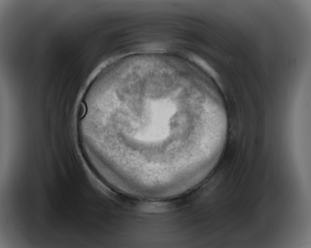 X0000086001475200704131754