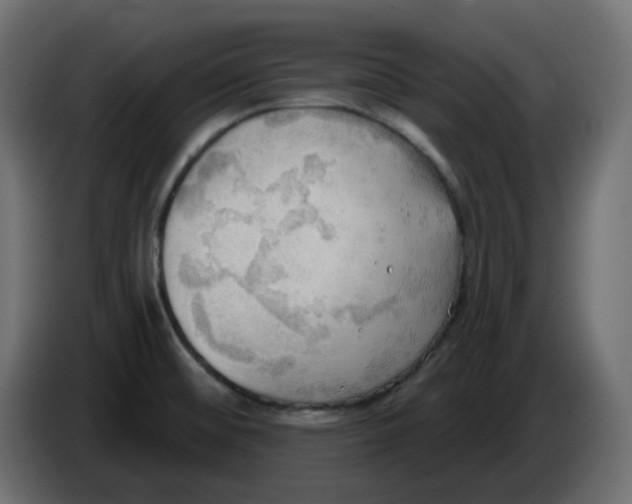 X0000086001476200704131754