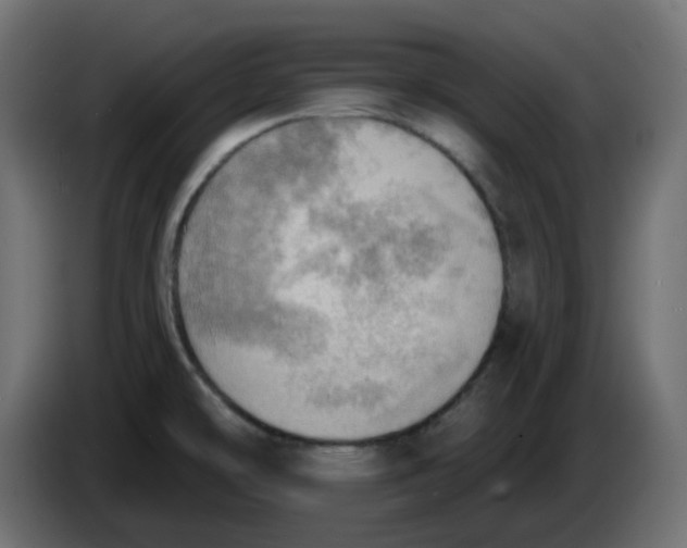 X0000086001478200704131754