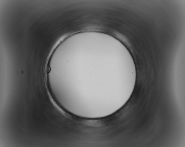 X0000086001479200704131754