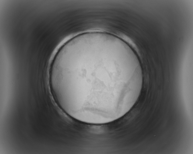 X0000086001480200704131754