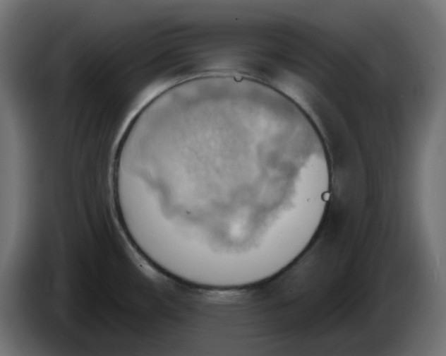 X0000086001482200704131754