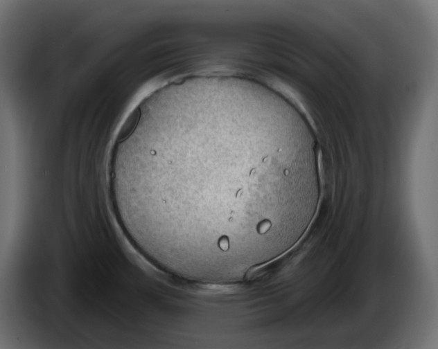 X0000086001483200704131754