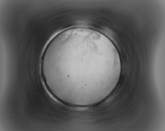 X0000086001484200704131754