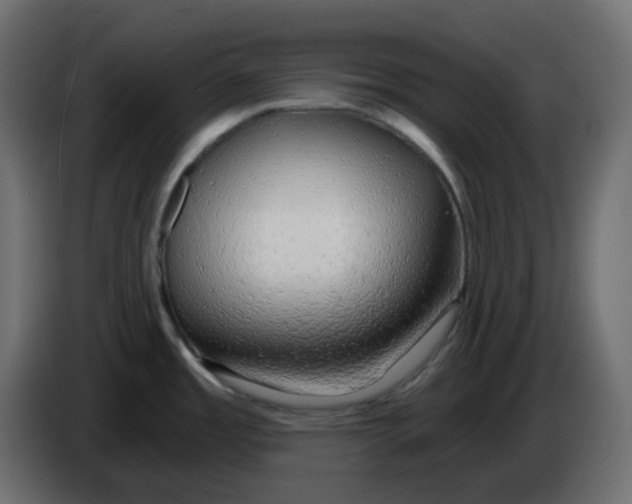 X0000086001485200704131754