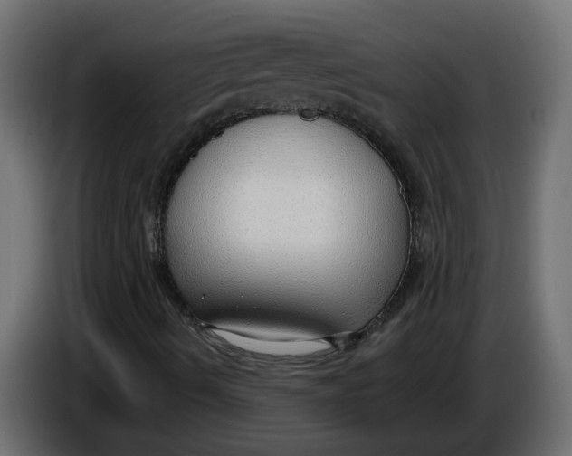 X0000086001490200704131754