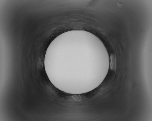 X0000086001491200704131754