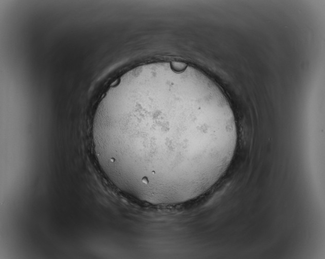 X0000086001494200704131754