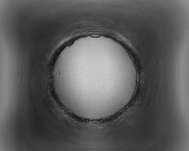 X0000086001496200704131754