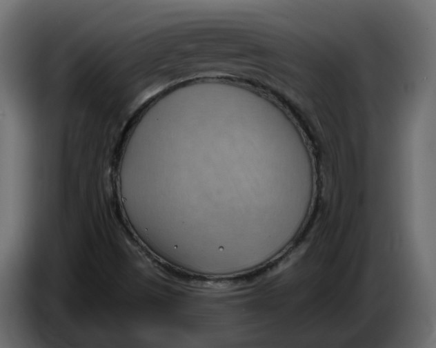 X0000086001497200704131754