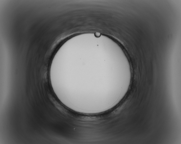 X0000086001499200704131754