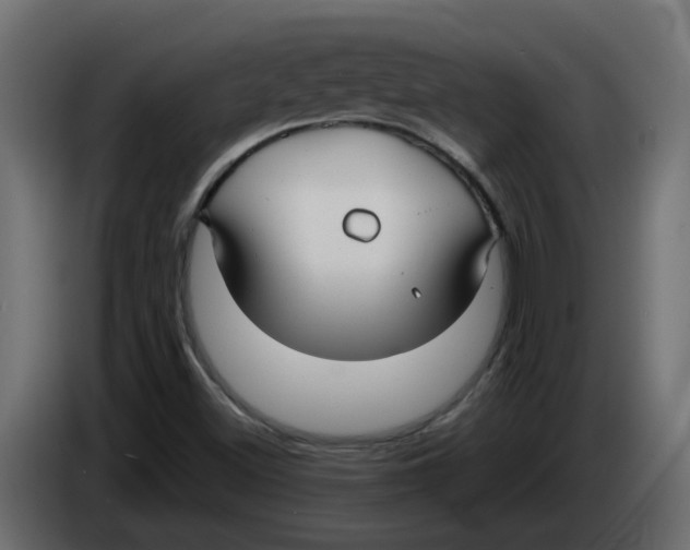 X0000086001500200704131754