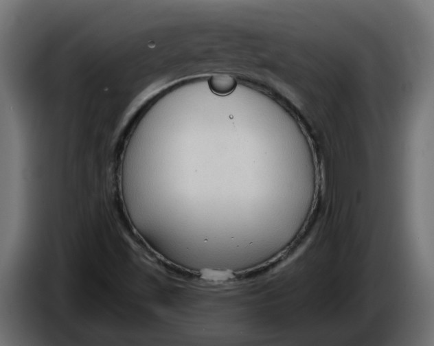 X0000086001501200704131754