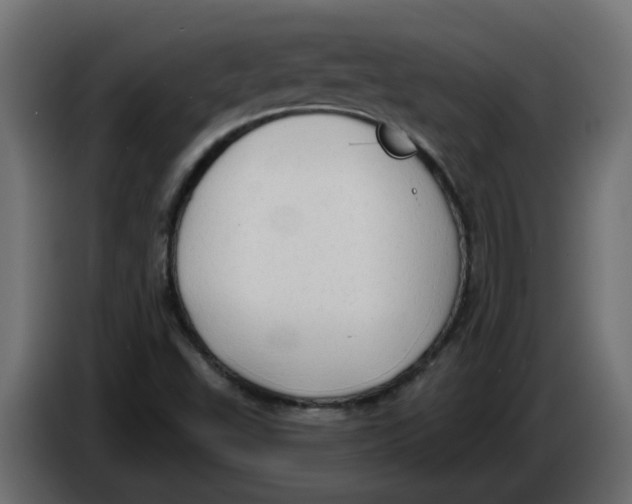 X0000086001503200704131754