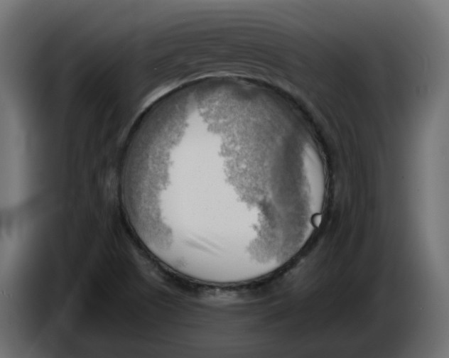 X0000086001505200704131754