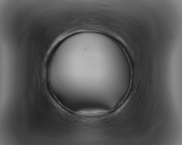 X0000086001506200704131754